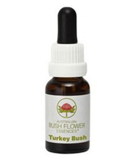 Turkey Bush - Fiori australiani - 15 ml - 1