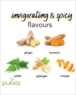 Turmeric Active - Tisana Pukka Bio - 5