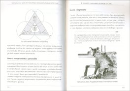 Tutto Ciò che Serve per Sviluppare l'Intelligenza del Vostro Cane — Libro - 3