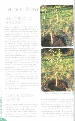 Tutto per il Giardino — Libro - 2