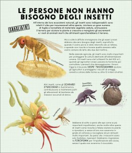Tutto Quello che Sai sugli Insetti è Sbagliato — Libro - 4