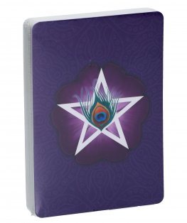 Twin Tarot Oracle - Cofanetto - 5
