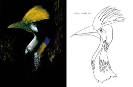 Uccelli da Disegnare e da Colorare con Carll Cneut — Libro - 3