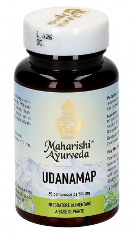 Udanamap - 1