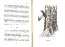 Un Albero — Libro - 3