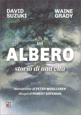 Un Albero — Libro - 1