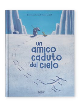Un Amico Caduto dal Cielo — Libro - 1