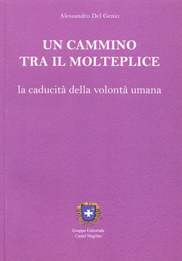 Un Cammino tra il Molteplice   — Libro - 1