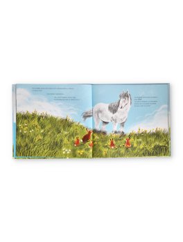 Un Cavallo di Nome Ora — Libro - 3