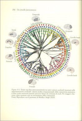 Un Cervello Interconnesso — Libro - 3