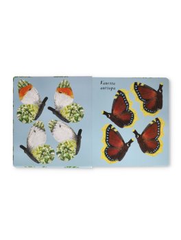Un Cielo di Farfalle — Libro - 2