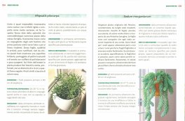 Un Giardino in Casa — Libro - 3