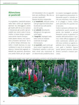 Un Giardino senza Veleni — Libro - 3