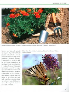 Un Giardino senza Veleni — Libro - 4