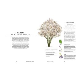 Un Mondo di Alberi — Libro - 4