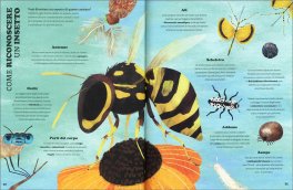 Un Mondo di Insetti — Libro - 3