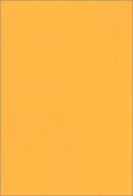 Un'Onda di Plastica — Libro - 2