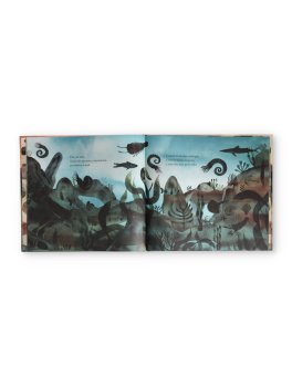 Un Sasso È una Storia — Libro - 2