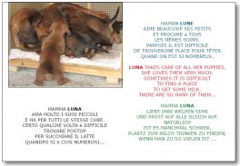 Una Famiglia Numerosa - Libro Multilingue — Libro - 2