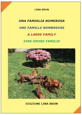 Una Famiglia Numerosa - Libro Multilingue — Libro - 1