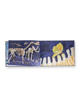 Una Magica Notte al Museo — Libro - 2
