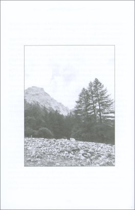 Una Medium ti Parla - Briciole di Luce — Libro - 3