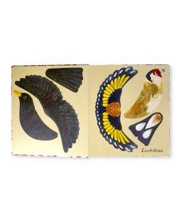 Una Piuma Per Volare — Libro - 3