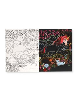 Unicorni — Libro - 2