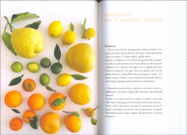 Uovo Sapiens — Libro - 3