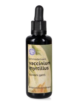 Vaccinium Myrtillus - Gemmoderivato - Giovani Getti - 1