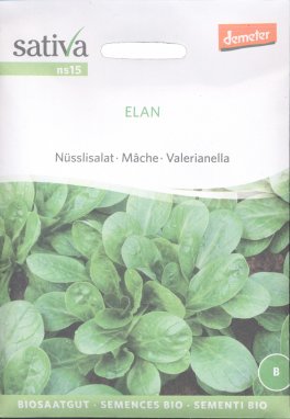 Semi di Valerianella Elan - 1