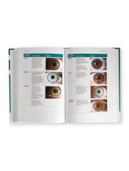 Valutazioni Olistiche Analogiche in MTEM — Libro - 3