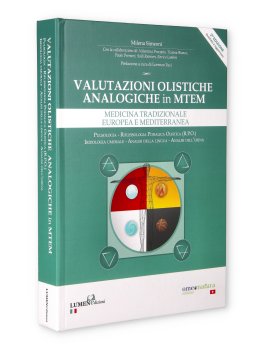 Valutazioni Olistiche Analogiche in MTEM — Libro - 1