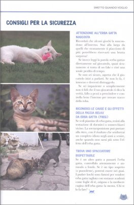 Vanity Cat — Libro - 4