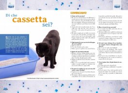 Vanity Cat — Libro - 5