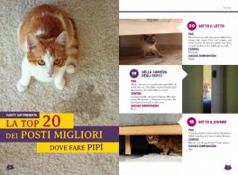 Vanity Cat — Libro - 6
