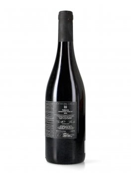Vedonero - Vino Rosso Sangiovese Bio - 2