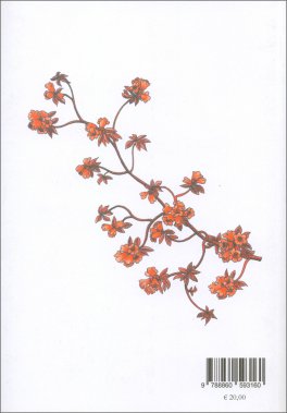 Vegetale Umano — Libro - 2