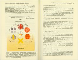 Venti Pratiche Incarnate per Guarire da Traumi e Dipendenze — Libro - 3