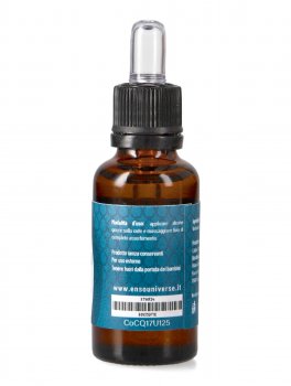 Oleum Verbasco - 2