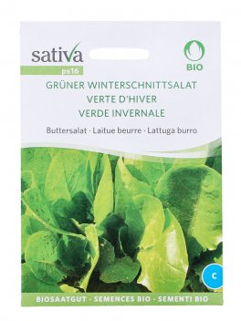 Semi di Verde Invernale (Lattuga Burro) - 1