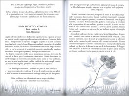 Verde Resilienza — Libro - 3