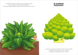 Verdure Curiose — Libro - 3