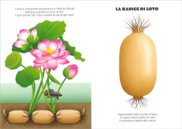 Verdure Curiose — Libro - 4