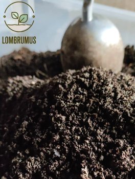 Vermicompost - Fertilizzante Naturale - 3