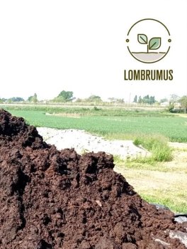 Vermicompost - Fertilizzante Naturale - 4