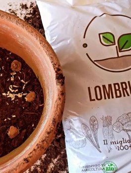 Vermicompost - Fertilizzante Naturale - 5