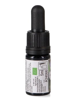Vervain  - Soluzione Madre - 3