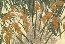 Viaggi nel mio Giardino — Libro - 3