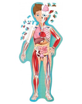 Viaggia, Conosci, Esplora - Il Corpo Umano - 4